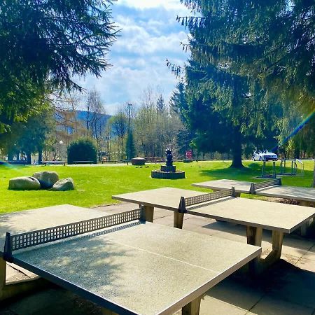 Relaxapartments Abendsonne Im Herzen Des Harzes - Ein El Dorado Fuer Wanderer, Biker Und Ruhesuchende - Mit Sonnigem Balkon Und Platz Fuer Bis Zu 3 Personen กอสลาร์ ภายนอก รูปภาพ