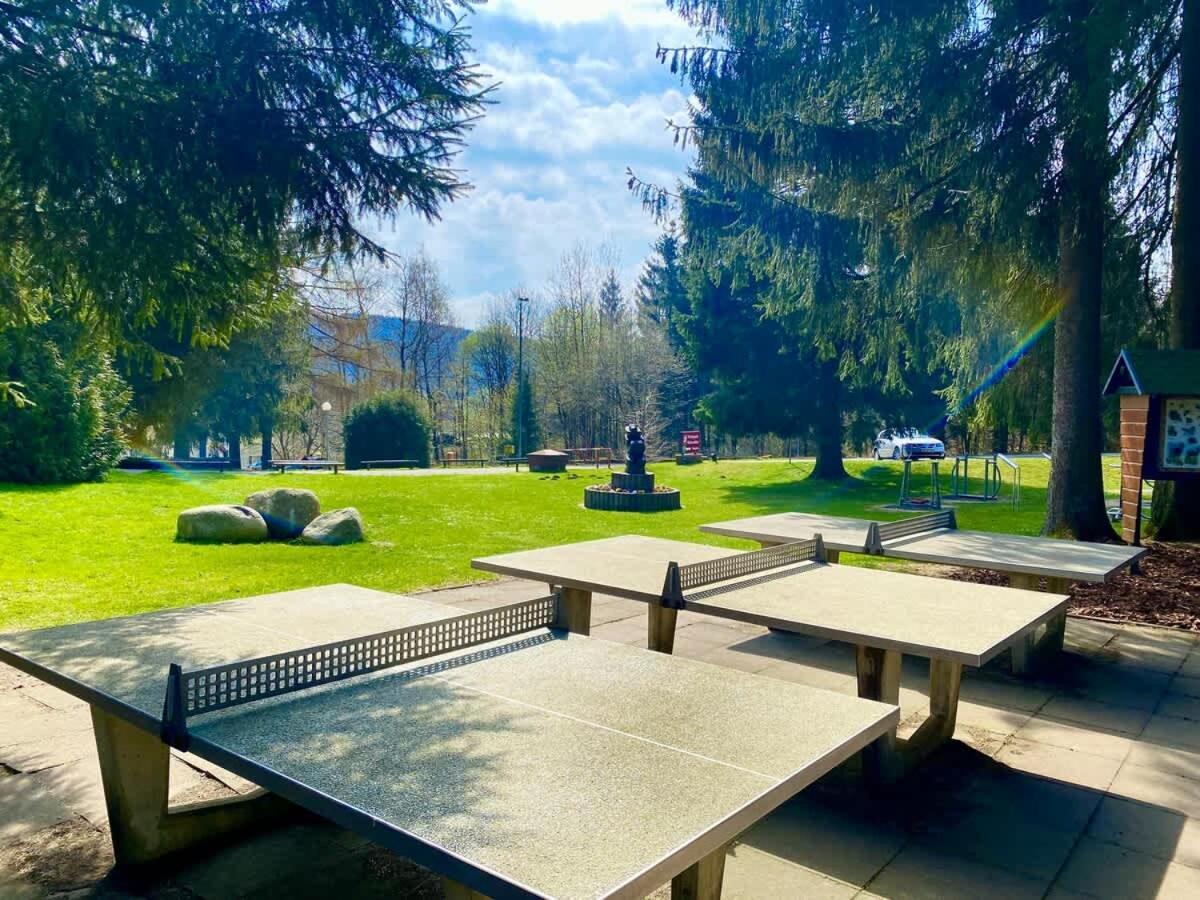 Relaxapartments Abendsonne Im Herzen Des Harzes - Ein El Dorado Fuer Wanderer, Biker Und Ruhesuchende - Mit Sonnigem Balkon Und Platz Fuer Bis Zu 3 Personen กอสลาร์ ภายนอก รูปภาพ