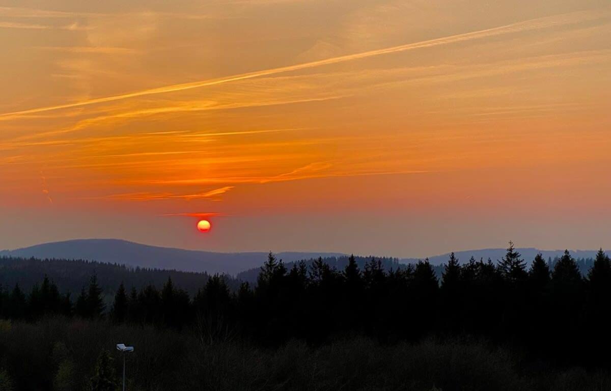 Relaxapartments Abendsonne Im Herzen Des Harzes - Ein El Dorado Fuer Wanderer, Biker Und Ruhesuchende - Mit Sonnigem Balkon Und Platz Fuer Bis Zu 3 Personen กอสลาร์ ภายนอก รูปภาพ