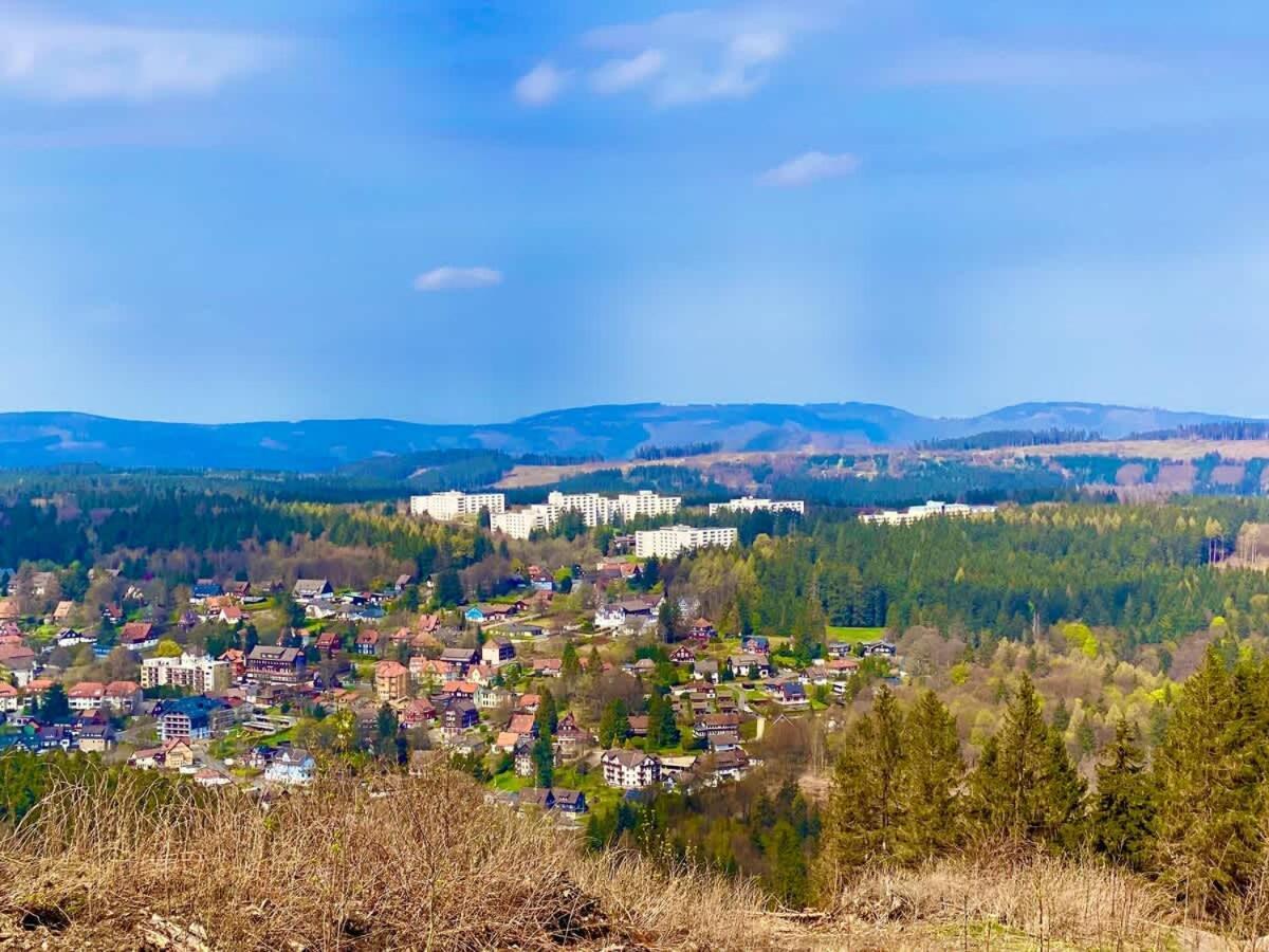 Relaxapartments Abendsonne Im Herzen Des Harzes - Ein El Dorado Fuer Wanderer, Biker Und Ruhesuchende - Mit Sonnigem Balkon Und Platz Fuer Bis Zu 3 Personen กอสลาร์ ภายนอก รูปภาพ